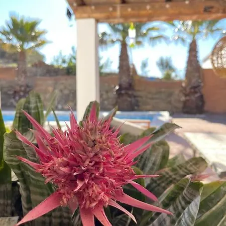 Holiday home Charmante In Mooi Wit Pittoresk Klein Dorpje El Toril (Malaga)